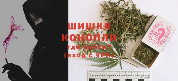 ПСИЛОЦИБИНОВЫЕ ГРИБЫ Абаза