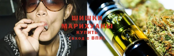 ПСИЛОЦИБИНОВЫЕ ГРИБЫ Абаза