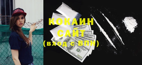 ПСИЛОЦИБИНОВЫЕ ГРИБЫ Абаза